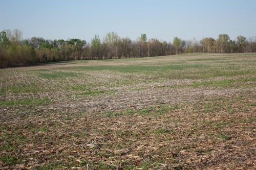 Property photo 5 - 641 Acres Offered in 16 Tracts - 545 Cropland Acres